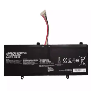 Baterie laptop GAS-F20