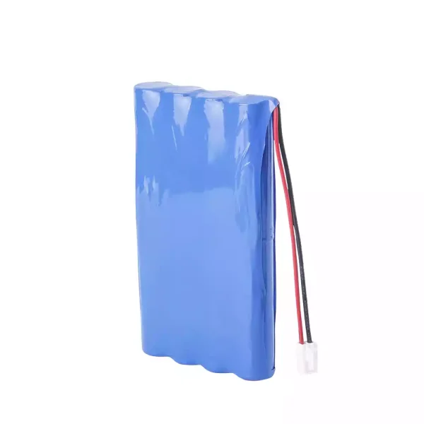Baterie de schimb pentru Biocare HYLB-1596 - imagine 3